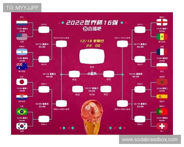 2026年世界杯各大洲名额分配的历史沿革与未来调整建议