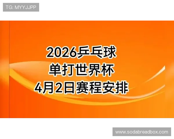 2026年世界杯赛程安排全解析，详细时间表帮助球迷提前规划观赛计划
