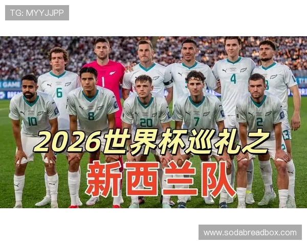 2026年世界杯新西兰与埃及比赛详细进球比分统计与赛况回顾