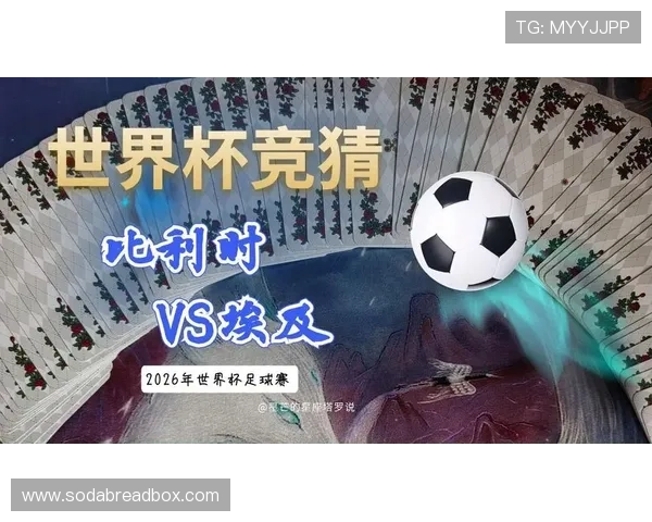 世界杯比利时对阵埃及比赛前的理性竞猜分析与专家预测指南 世界杯比利时对阵埃及比赛前的理性竞猜分析与专家预测指南